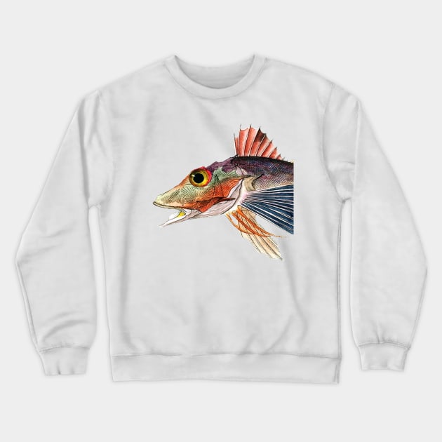 Musical Fish in C Minor Crewneck Sweatshirt by The Blue Box